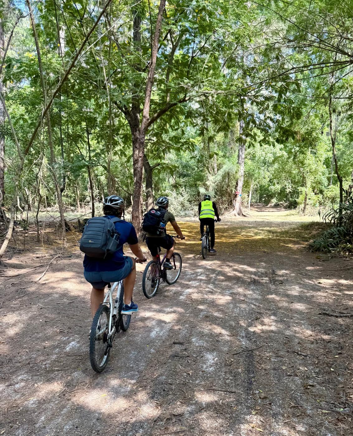 Two riders cycling away down a shady forest nature trail